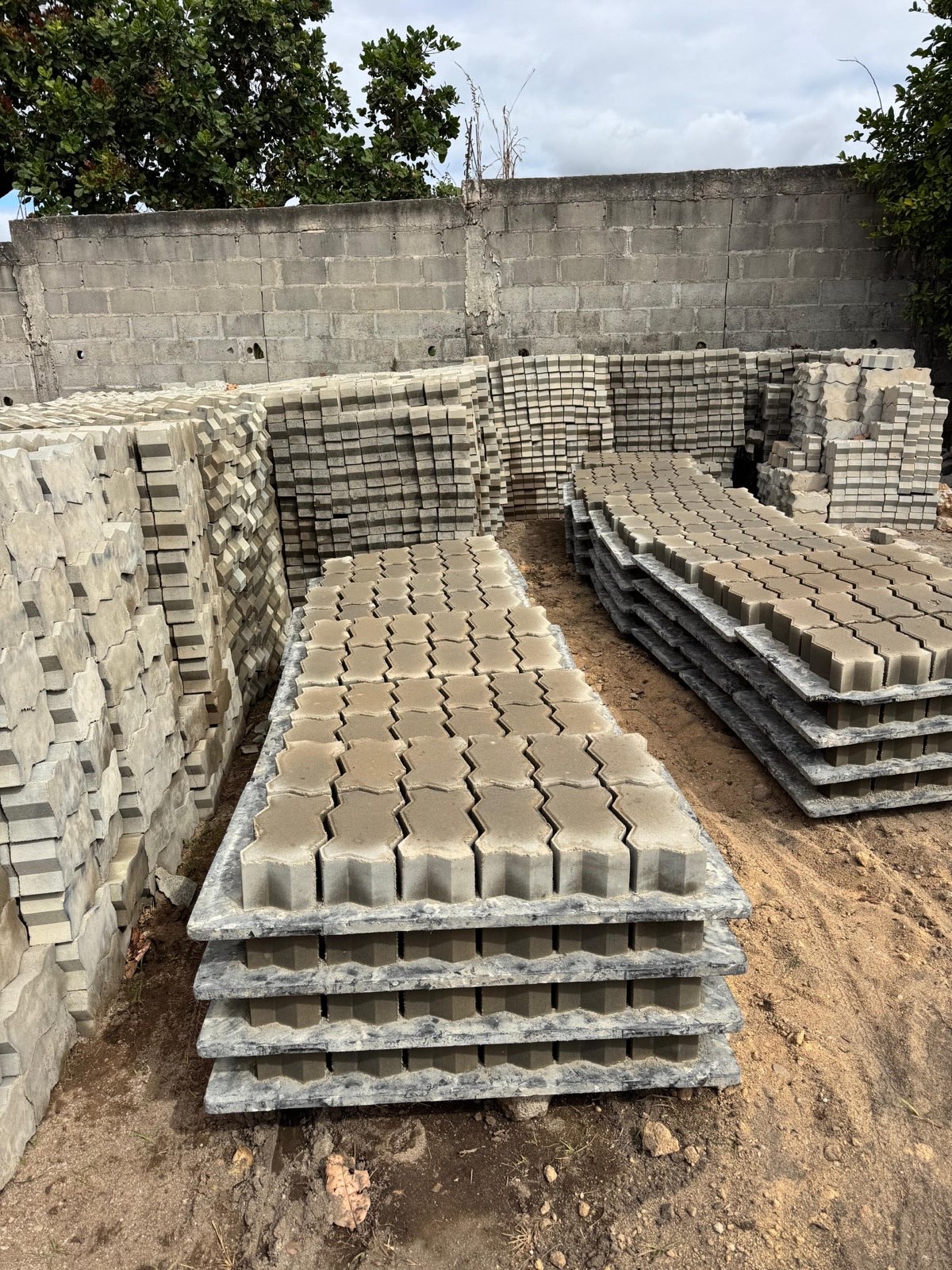 Freshly produced pavers on pallets, curing